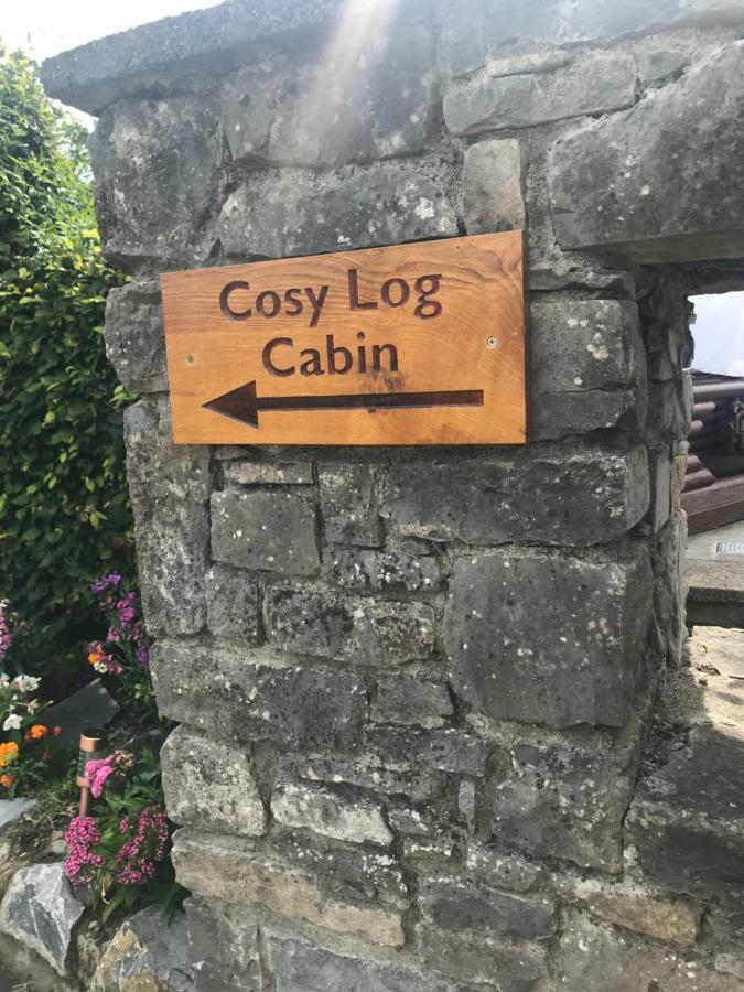 קילקני Cosy Countryside Log Cabin מראה חיצוני תמונה